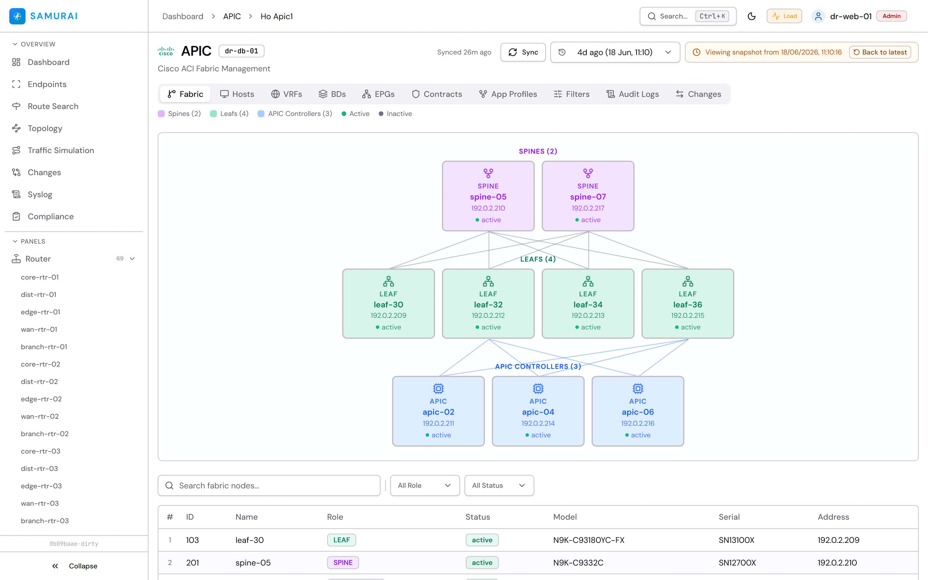 Cisco ACI fabric view in SAMURAI